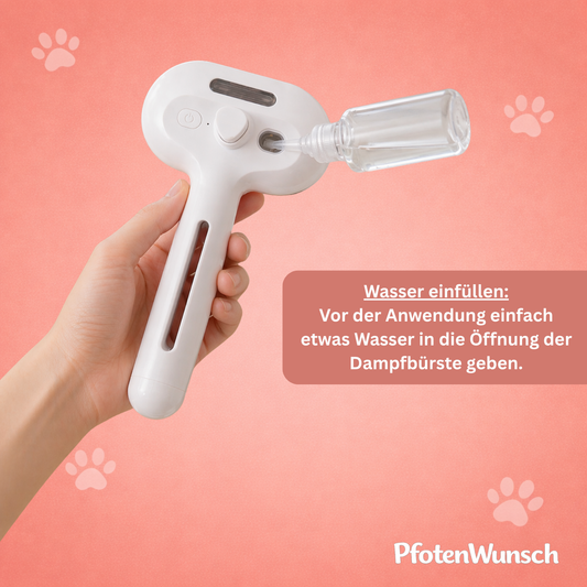Elektrische Dampfbürste