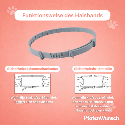 Zecken- & Flohhalsband