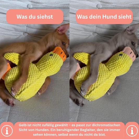 KuschelQuak Ente