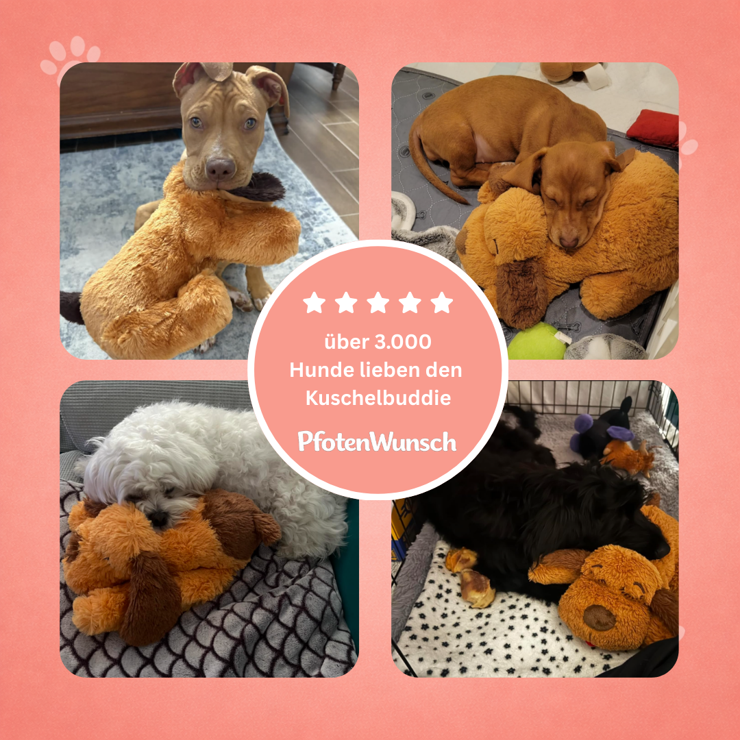 Kuschelbuddie mit Herzfrequenz