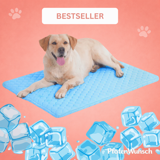 PfotenFrisch - Der Bestseller