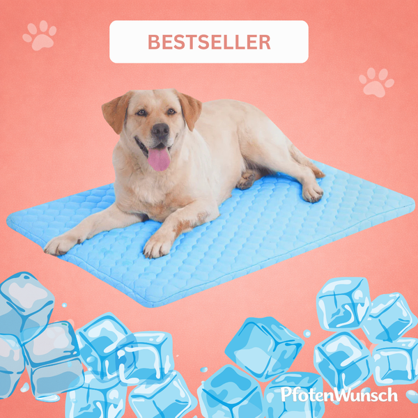 PfotenFrisch - Der Bestseller