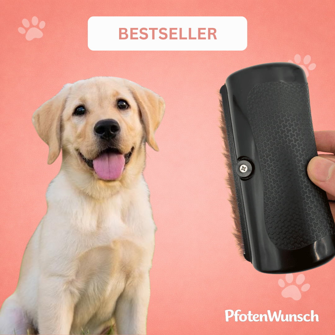 Fellglanz Bürste - Der Bestseller