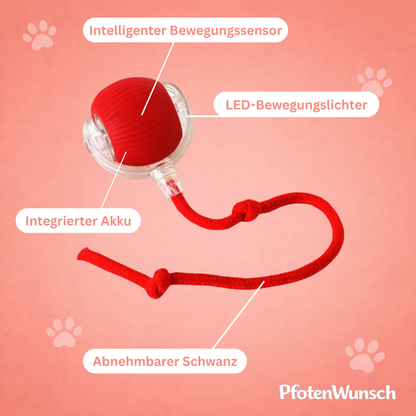 Interaktiver Spielball mit Schwanz