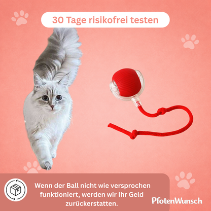 Interaktiver Spielball mit Schwanz