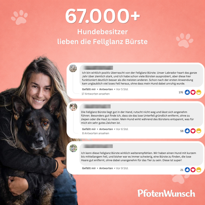 Fellglanz Bürste - Der Bestseller