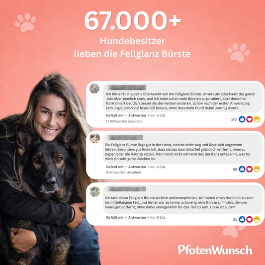 Fellglanz Bürste - Der Bestseller