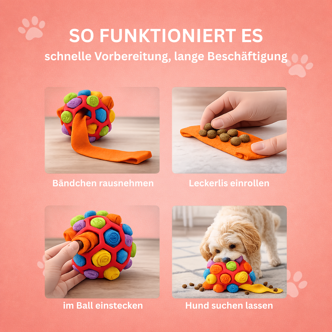 Schnüffelball für Hunde