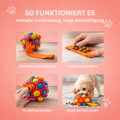 Schnüffelball für Hunde