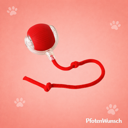 Interaktiver Spielball mit Schwanz