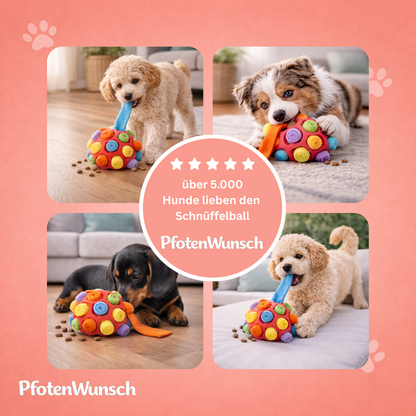 Schnüffelball für Hunde