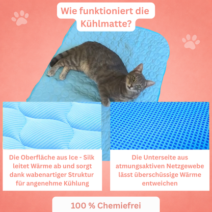 PfotenFrisch - Der Bestseller