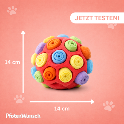 Schnüffelball für Hunde