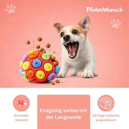 Schnüffelball für Hunde