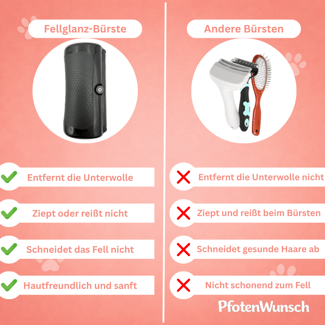 Fellglanz Bürste - Der Bestseller