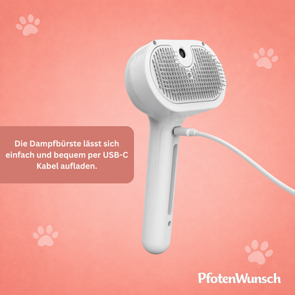 Elektrische Dampfbürste
