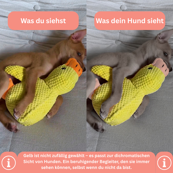 KuschelQuak Ente