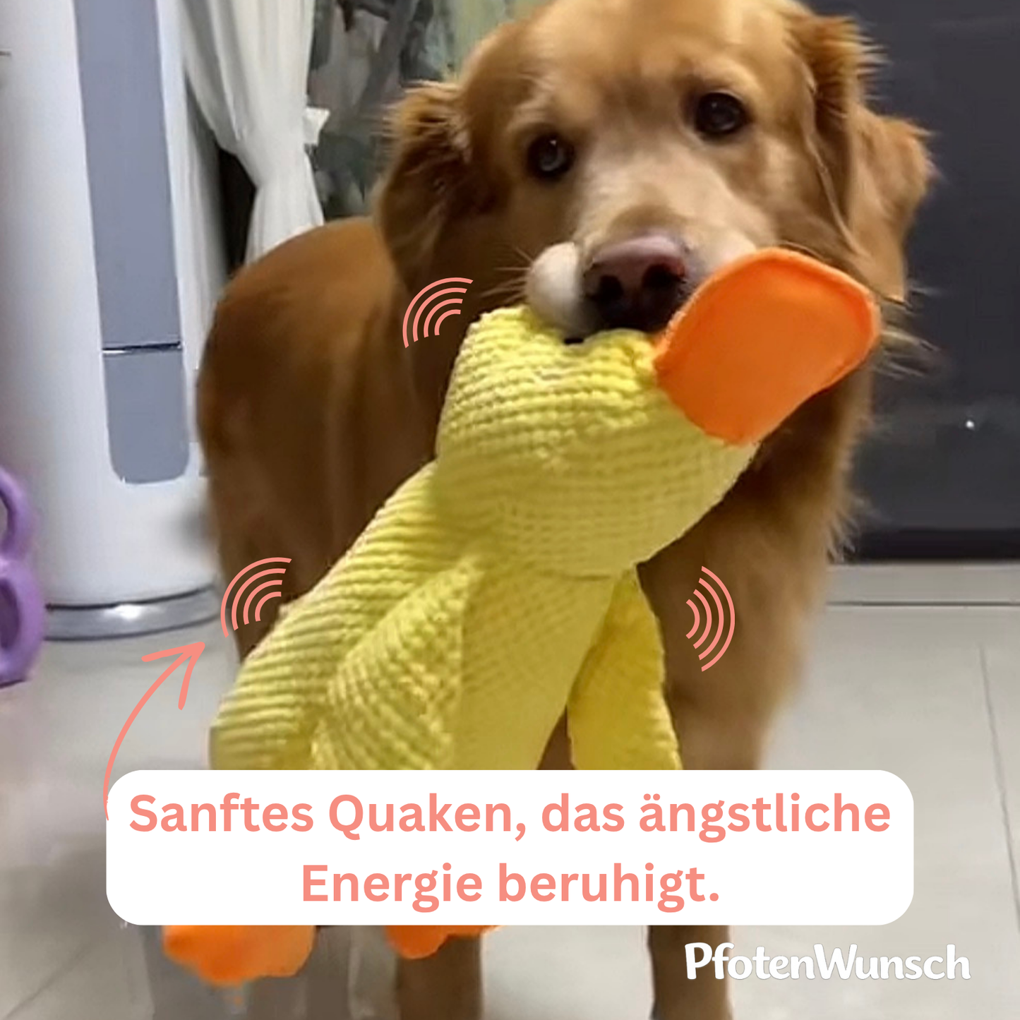 KuschelQuak Ente