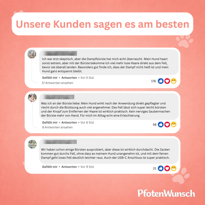 Elektrische Dampfbürste