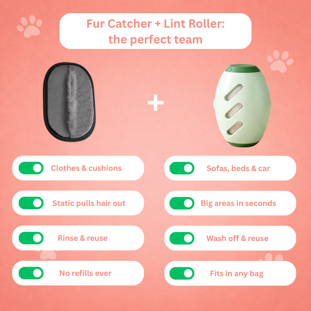 The perfect team: Fur Catcher and Lint Roller
